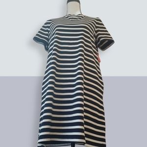 Kate Spade Stripe Zip-back Knit Dress S NWT